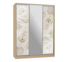 Шкаф-купе Бассо 10-600 розы