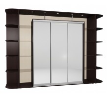 Шкаф-купе Мебелайн-25