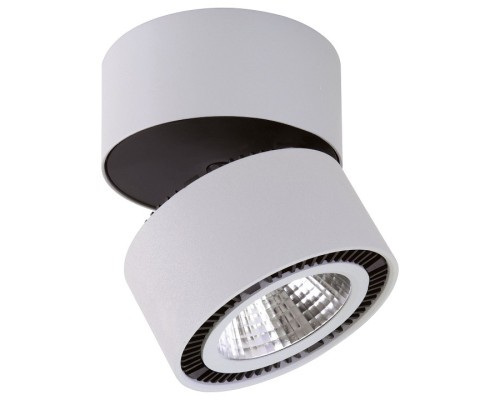 Светильник на штанге Lightstar Forte Muro LED 213830