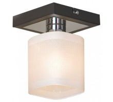 Светильник на штанге Lussole Costanzo 