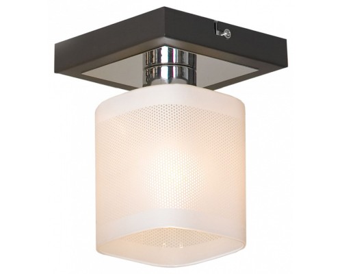 Светильник на штанге Lussole Costanzo