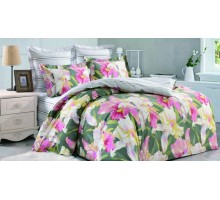 Постельное белье евростандарт Вальтери С