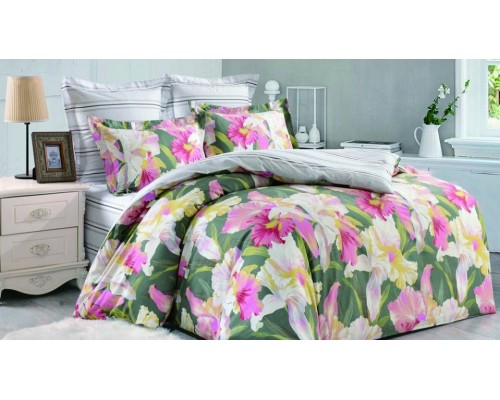 Постельное белье евростандарт Вальтери С