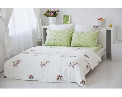 Постельное белье евростандарт Цвет