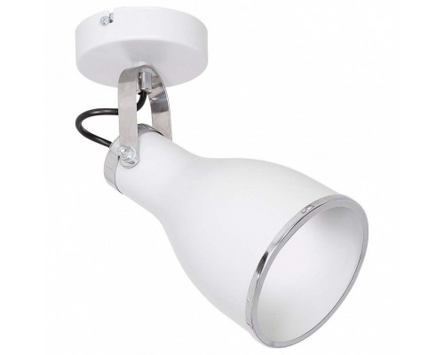 Спот Luminex Bjorn 9164