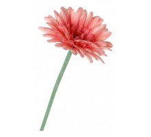 Цветок (53 см) Гербера 23-251