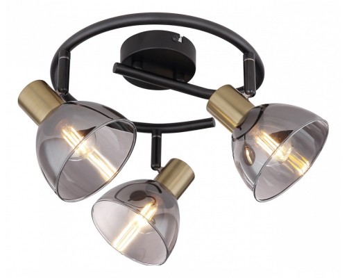 Спот Globo Jay 54305-3