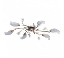 Потолочная люстра MW-Light Восторг 19 242016306