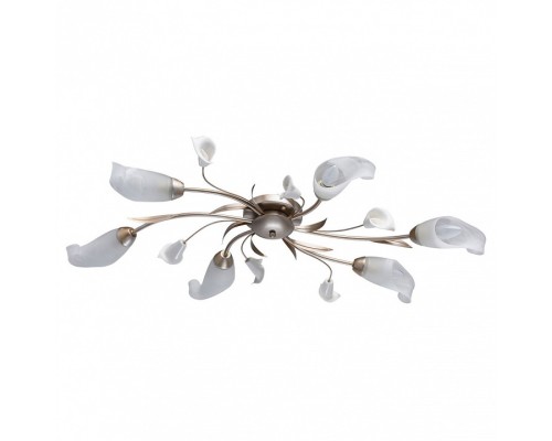 Потолочная люстра MW-Light Восторг 19 242016306