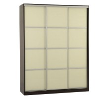 Шкаф-купе Бассо 2-600