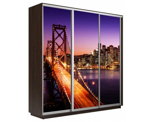 Шкаф-купе Экспресс Фото трио 1007 1800x450x2200