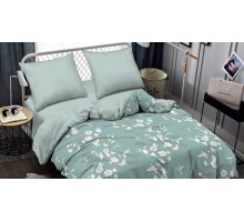 Постельное белье евростандарт Combo Hastl