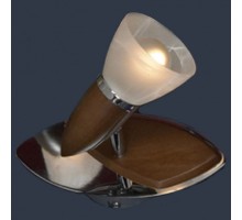 Спот Lussole Cisterino 