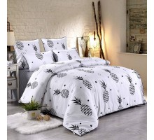 Постельное белье евростандарт Модерн №14