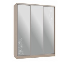 Шкаф-купе Бассо 4-600 токио