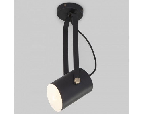 Светильник на штанге Eurosvet Italio 20092/1