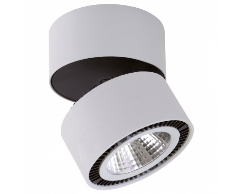 Светильник на штанге Lightstar Forte Muro LED 213839