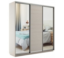 Шкаф-купе Экспресс Медиум