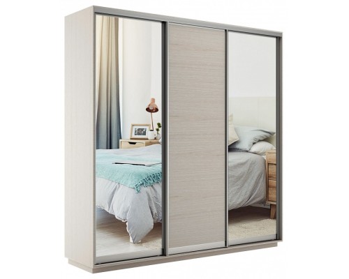 Шкаф-купе Экспресс Медиум