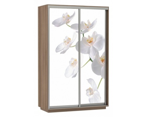 Шкаф-купе Экспресс Фото Дуо Орхидея 1600x600x2400