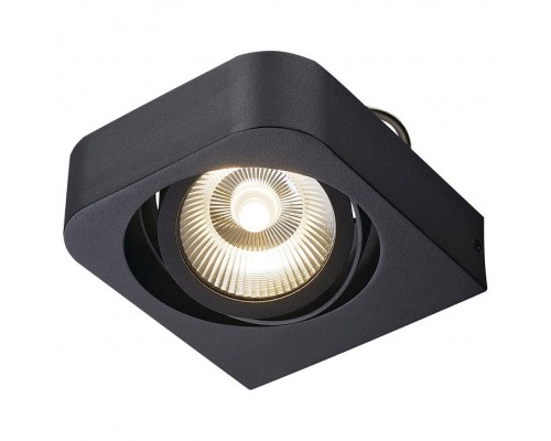 Накладной светильник SLV Lynah 1000414