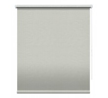 Штора рулонная (80x175 см) Сильвер