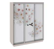 Шкаф-купе Румер СШК 1.180.60-35