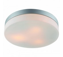 Накладной светильник Arte Lamp Aqua A3211PL-3SI