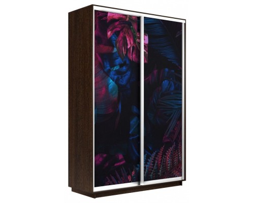 Шкаф-купе Экспресс Фото дуо 1004 1200x450x2200