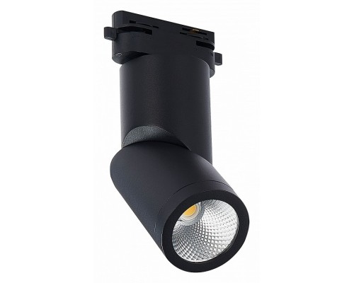 Светильник на штанге ST-Luce ST650 