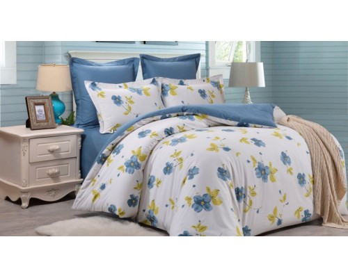 Постельное белье евростандарт Вальтери С