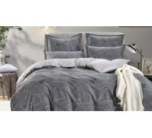 Постельное белье евростандарт Модерн №10