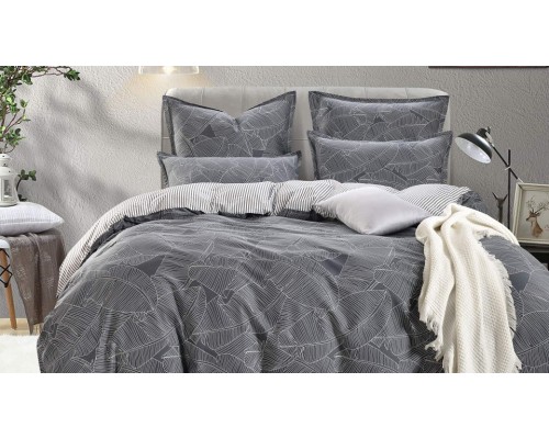 Постельное белье евростандарт Модерн №10