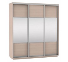 Шкаф-купе Экспресс Комби Трио 2400x600x2200