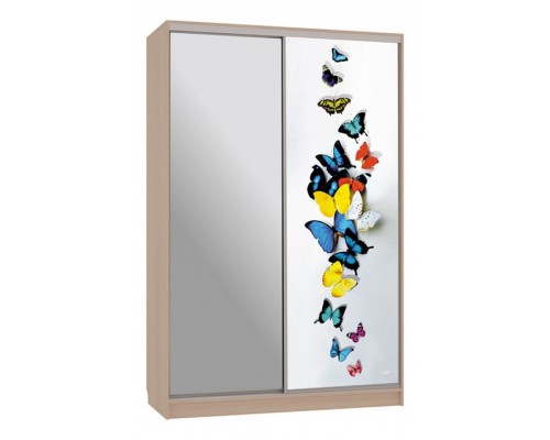 Шкаф-купе Рио 9-600 88