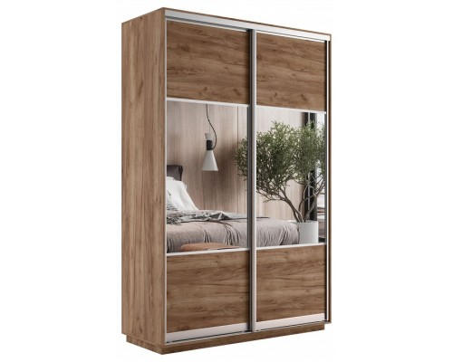 Шкаф-купе Экспресс Комби дуо