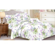 Постельное белье евростандарт Art Color 071-AC