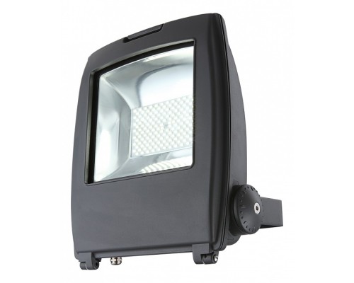 Настенный прожектор Globo Projecteur I 34222