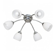 Потолочная люстра Vitaluce 3446 V3446/6PL