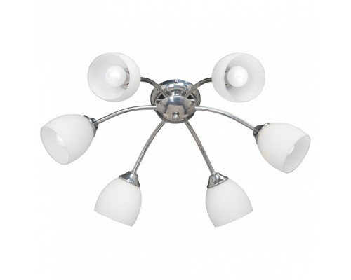 Потолочная люстра Vitaluce 3446 V3446/6PL
