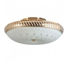 Светильник на штанге TopLight Loreen TL1492Y-05GC