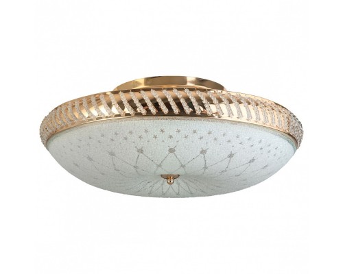 Светильник на штанге TopLight Loreen TL1492Y-05GC