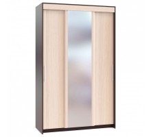 Шкаф-купе ШР-156.2