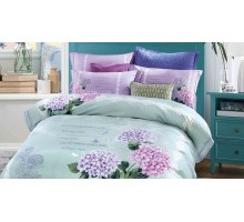 Постельное белье евростандарт RS-252
