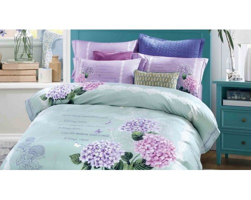 Постельное белье евростандарт RS-252