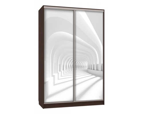 Шкаф-купе Рио 7-600 58