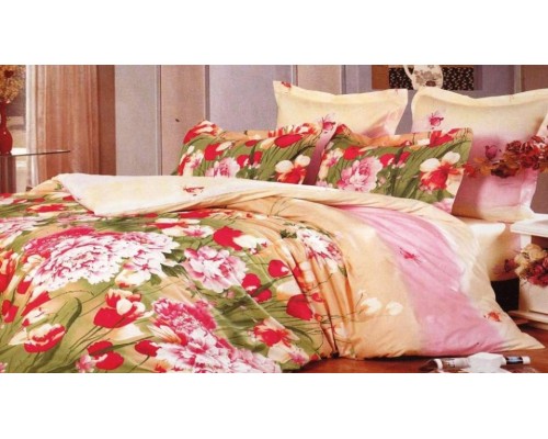 Постельное белье евростандарт C-147