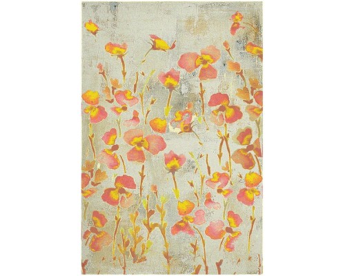 Ковер интерьерный (300x400 см) Hunnu