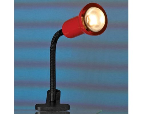 Настольная лампа офисная Lussole Warshawa