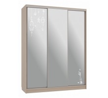 Шкаф-купе Бассо 4-600 птицы